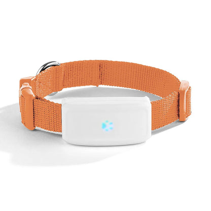 Electronic Pet GPS Tracker