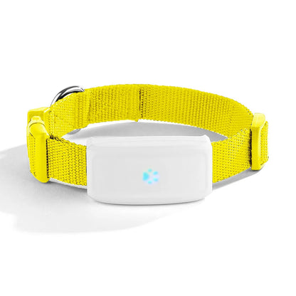 Electronic Pet GPS Tracker