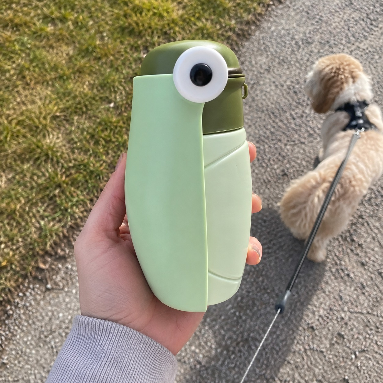 Sage CoolDog Water Bottle held in hand while walking a dog